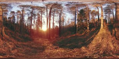 4K 360 VR sonbahar zamanındaki güzel bir dağ manzarasının sanal gerçekliği. Vahşi Sibirya Dağları.