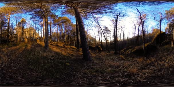 4K 360 VR virtual Reality of a beautiful mountain scene at the autumn time. Wild Siberian mountains. — Stock Video