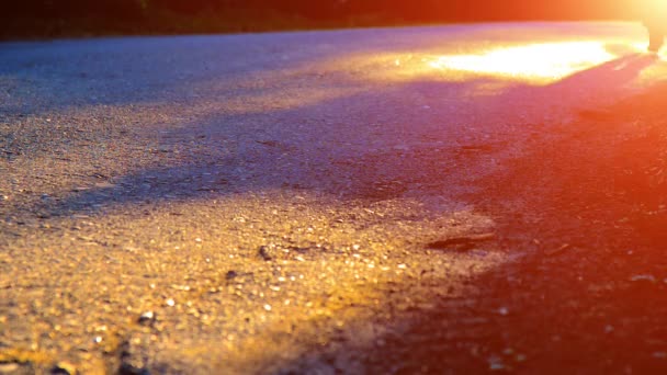 Sportler läuft auf Asphaltstraße. Ländlicher Stadtpark. Grüner Baumwald und Sonnenstrahlen am Horizont. — Stockvideo