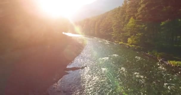 Vuelo en medio del aire sobre un río de montaña fresco y limpio en la soleada mañana de verano — Vídeos de Stock