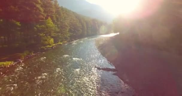 Keskimääräinen lento raikkaan ja puhtaan vuoristojoen yli aurinkoisena kesäaamuna — kuvapankkivideo