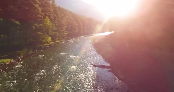 Vol en vol au-dessus d'une rivière de montagne fraîche et propre au matin ensoleillé d'été — Video