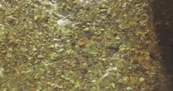 Mid air flight over fresh and clean mountain river at sunny summer morning. Top view and horizontal movement — Stock Video