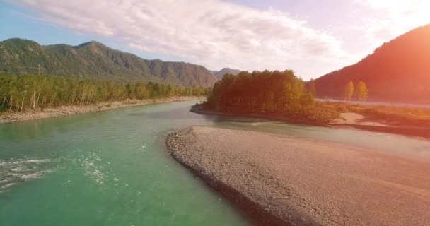 4k UHD légi felvétel. Alacsony repülés a friss, hideg hegyi folyó felett a napos nyári reggelen. Zöld fák és napsugarak Horisonton — Stock videók