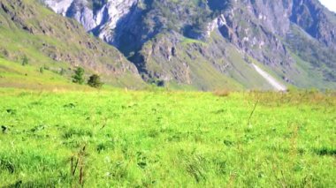 Sırt çantası ile yeşil dağ çayır üzerinde yürüyen adam hiking. Yaz spor ve eğlence kavramı.