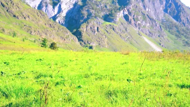 Piesze wycieczki man walking na góry zielony łąka z plecaka. Koncepcja lato sport i rekreacja. — Wideo stockowe