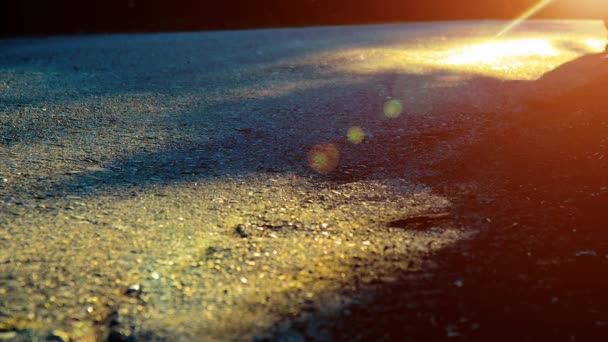 Sportler läuft auf Asphaltstraße. Ländlicher Stadtpark. Grüner Baumwald und Sonnenstrahlen am Horizont. — Stockvideo