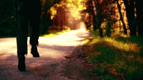 Homem do desporto a correr na estrada de asfalto. Parque rural da cidade. Floresta de árvore verde e raios de sol no horizonte. — Vídeo de Stock