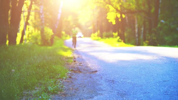 Deportivo corriendo en la carretera de asfalto. Parque rural de la ciudad. Bosque de árboles verdes y rayos de sol en el horizonte. — Vídeo de stock