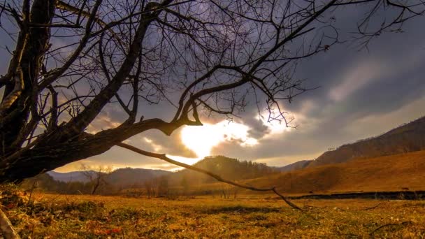 Prăbușirea timpului copacului morții și iarba galbenă uscată în peisajul montan cu nori și raze solare. Mișcarea orizontală a cursorului — Videoclip de stoc