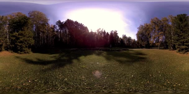 UHD 4K 360 VR Virtual Reality van een recreatiegebied in een stadspark. Bomen en groen gras op herfst- of zomerdag — Stockvideo