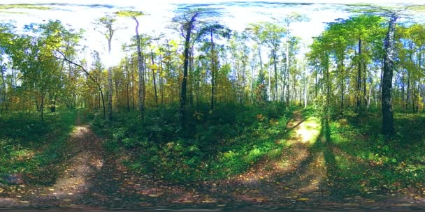 UHD 4K 360 VR Réalité virtuelle d'un parc municipal zone de loisirs. Arbres et herbe verte le jour d'automne ou d'été — Video