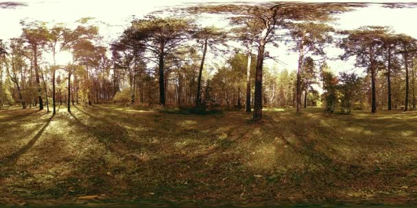 UHD 4K 360 VR Realidade Virtual de uma área de recreação do parque da cidade. Árvores e grama verde no outono ou no dia de verão — Vídeo de Stock