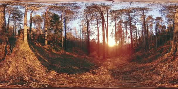 Realidad virtual de 4K 360 VR de una hermosa escena de montaña en otoño. Montañas siberianas salvajes. — Vídeos de Stock