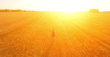 Bir büyük buğday tarlada yürüyen genç adam turist üzerinde düşük uçuş