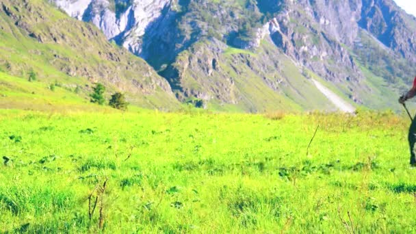 Senderismo hombre caminando en el prado de montaña verde con mochila. Verano deporte y recreación concepto . — Vídeo de stock