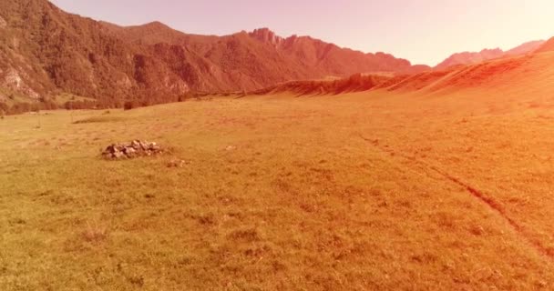 Vol au-dessus de chevaux sauvages troupeau sur prairie. Montagnes printanières nature sauvage. Liberté concept écologie. — Video