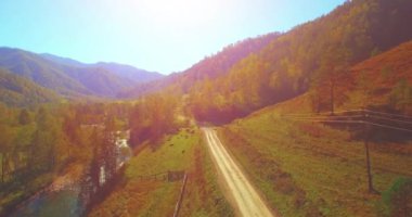 Taze dağ nehir ve çayır güneşli yaz sabahı, orta hava uçuş. Kırsal toprak yol aşağıda. İnek ve araba.
