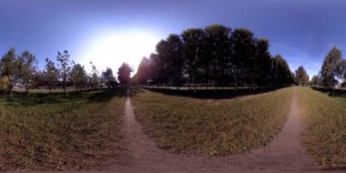 Bir şehir parkının UHD 4K 360 VR Sanal Gerçekliği. Sonbaharda ya da yaz gününde ağaçlar ve yeşil çimenler