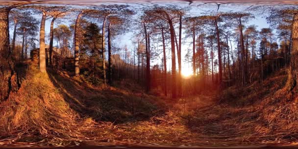 4K 360 VR Realidade virtual de uma bela cena de montanha no outono. Montanhas siberianas selvagens. — Vídeo de Stock