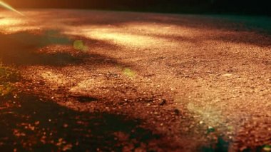 Asfalt yolda koşan sporcu. Kırsal şehir parkı. Yeşil ağaç ormanı ve ufukta güneş ışığı.