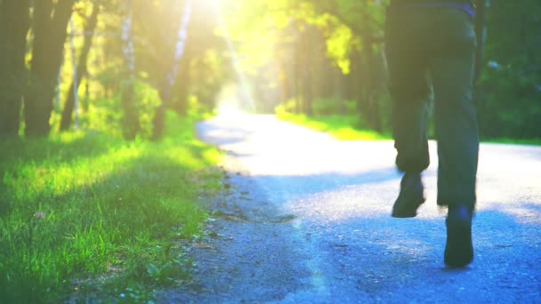 Homem do desporto a correr na estrada de asfalto. Parque rural da cidade. Floresta de árvore verde e raios de sol no horizonte. — Vídeo de Stock