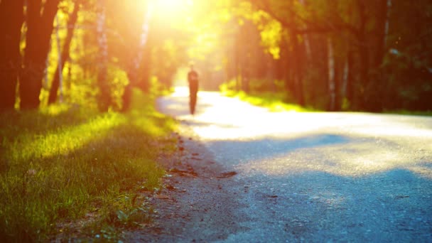 Deportivo corriendo en la carretera de asfalto. Parque rural de la ciudad. Bosque de árboles verdes y rayos de sol en el horizonte. — Vídeo de stock