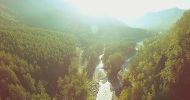 Mid air flight over fresh mountain river and meadow at sunny summer morning. Rural dirt road below. — Stock Video