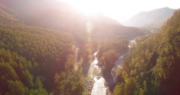 Vôo a meio do ar sobre o rio e o prado frescos da montanha na manhã ensolarada do verão. Estrada de terra rural abaixo. — Vídeo de Stock