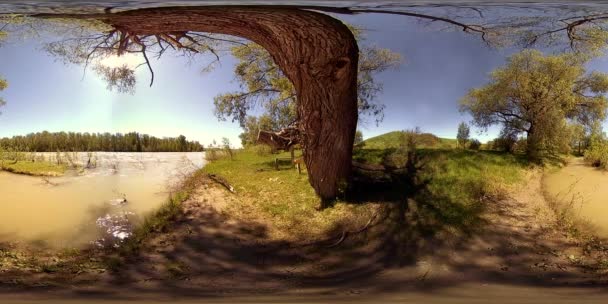 UHD 4K 360 VR La réalité virtuelle d'une rivière coule sur des rochers dans un magnifique paysage de forêt de montagne — Video