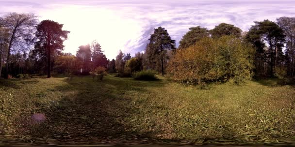 UHD 4K 360 VR Réalité virtuelle d'un parc municipal zone de loisirs. Arbres et herbe verte le jour d'automne ou d'été