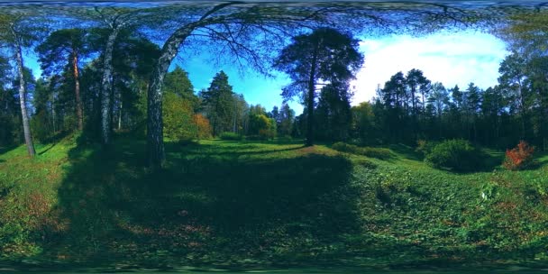 UHD 4K 360 VR Realtà Virtuale di un'area ricreativa del parco cittadino. Alberi ed erba verde al giorno d'autunno o d'estate — Video Stock