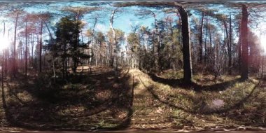 4k Sonbahar zaman bir güzel dağ sahnenin 360 Vr sanal gerçeklik. Vahşi Rus dağlar.