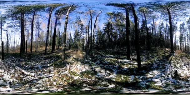 Wirtualna rzeczywistość 4K 360 VR pięknej sceny górskiej jesienią. Dzikie rosyjskie góry w śniegu — Wideo stockowe