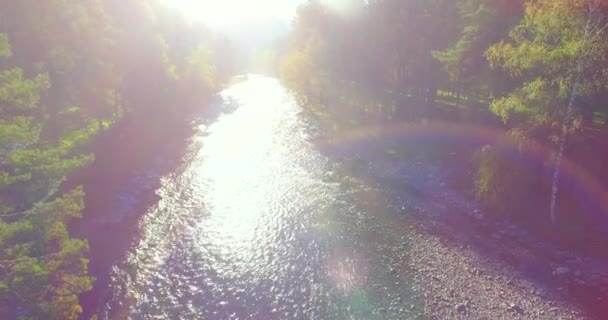 Lav højde flyvning over frisk hurtig bjerg flod med sten på solrig sommer morgen. – Stock-video