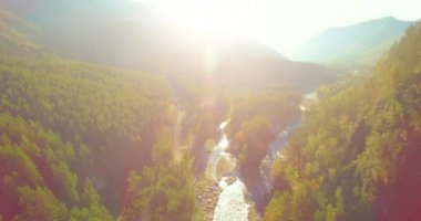 Güneşli yaz sabahında kayalarla birlikte taze, hızlı dağ nehri üzerinde alçak irtifa uçuşu..