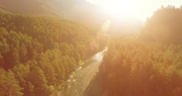 Volo a bassa quota sul fresco fiume di montagna veloce con rocce al soleggiato mattino d'estate. — Video Stock
