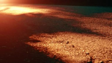 Asfalt yolda koşan sporcu. Kırsal şehir parkı. Yeşil ağaç ormanı ve ufukta güneş ışığı.