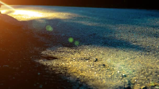 Sport man running at asphalt road. Rural city park. Green tree forest and sun rays on horizon. — Stock Video