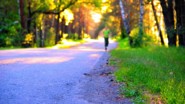 Deportivo corriendo en la carretera de asfalto. Parque rural de la ciudad. Bosque de árboles verdes y rayos de sol en el horizonte. — Vídeo de stock