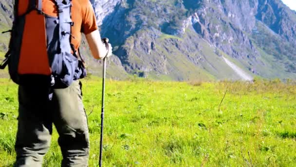 Vandring man gå på grönt berg äng med ryggsäck. Sommar sport och rekreation koncept. — Stockvideo