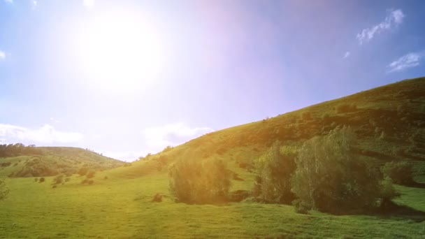 Górski łąka timelapse latem. Chmury, drzewa, zielona trawa i promieniowanie słoneczne. — Wideo stockowe