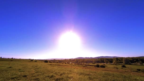4K UHD山の牧草地は夏にタイムラプスします。雲、木、緑の草、太陽光線の動き. — ストック動画