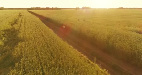 Вид з повітря на молодого хлопчика, який їде на велосипеді на траві з пшениці на старій сільській дорозі. Сонячне світло і промені . — стокове відео