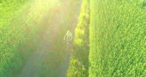 Widok z lotu ptaka na młodego chłopca, który jeździ na rowerze przez pole trawy pszennej na starej wiejskiej drodze. Światło słoneczne i promienie. — Wideo stockowe