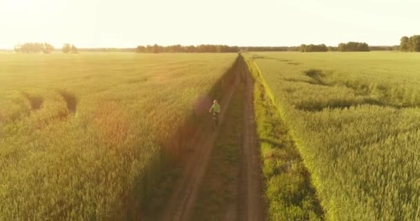 Vista aérea sobre el niño, que monta en bicicleta a través de un campo de hierba de trigo en el viejo camino rural. Luz solar y rayos. — Vídeo de stock