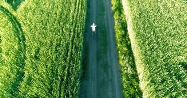 Aerial view on young boy, that rides a bicycle thru a wheat grass field on the old rural road. Sunlight and beams. — Stock Video
