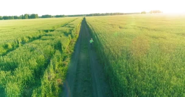 Vue aérienne sur le jeune garçon, qui monte à vélo à travers un champ d'herbe de blé sur la vieille route rurale. Lumière du soleil et rayons. — Video