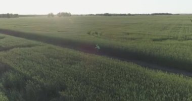 Kırsal yoldaki bir çim tarlasında bisiklet süren genç bir çocuğun hava manzarası. Güneş ışığı ve ışınlar.