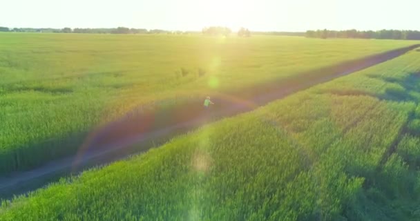 Flygfoto på ung pojke, som rider en cykel genom ett vete gräs fält på den gamla landsvägen. Solljus och strålar. — Stockvideo